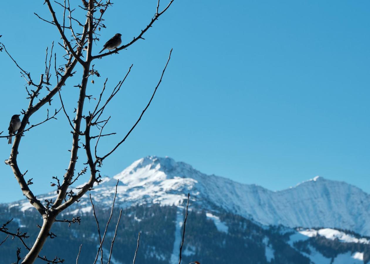 Haus Lorea Ehrwald Esterno foto