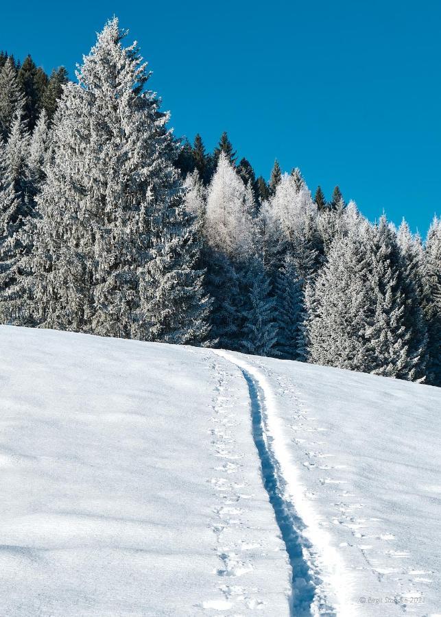 Haus Lorea Ehrwald Esterno foto